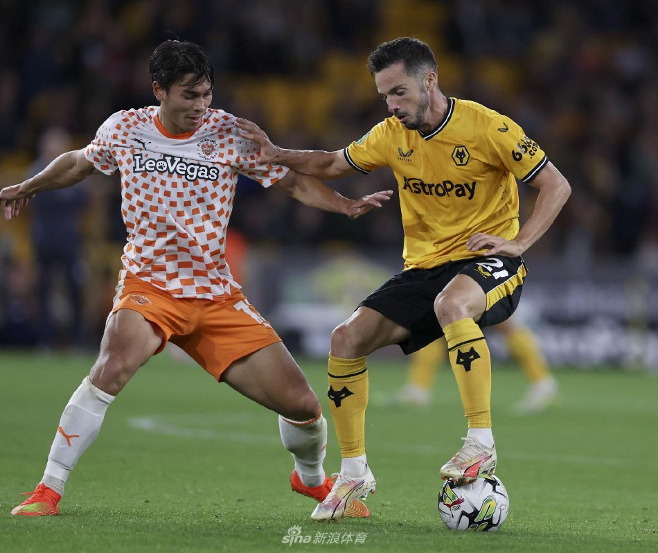 这项运动带 这项运动带