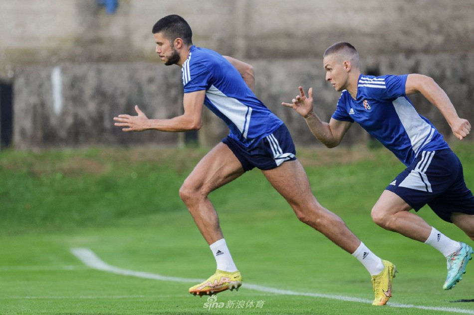 掘金主帅形 掘金主帅形